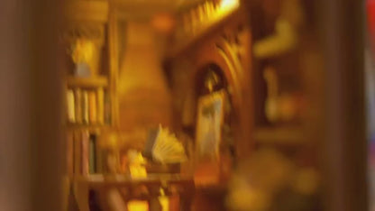 Library of Books DIY Book Nook Kit